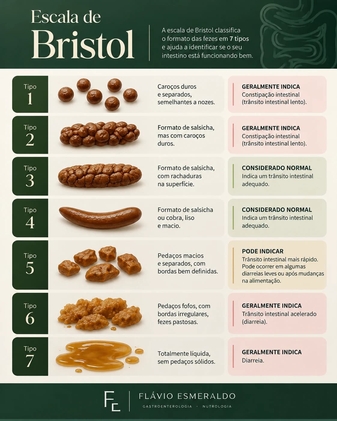 Escala de Bristol: os sete tipos de fezes, do tipo 1, em caroços duros e separados, ao tipo 7, totalmente líquida.